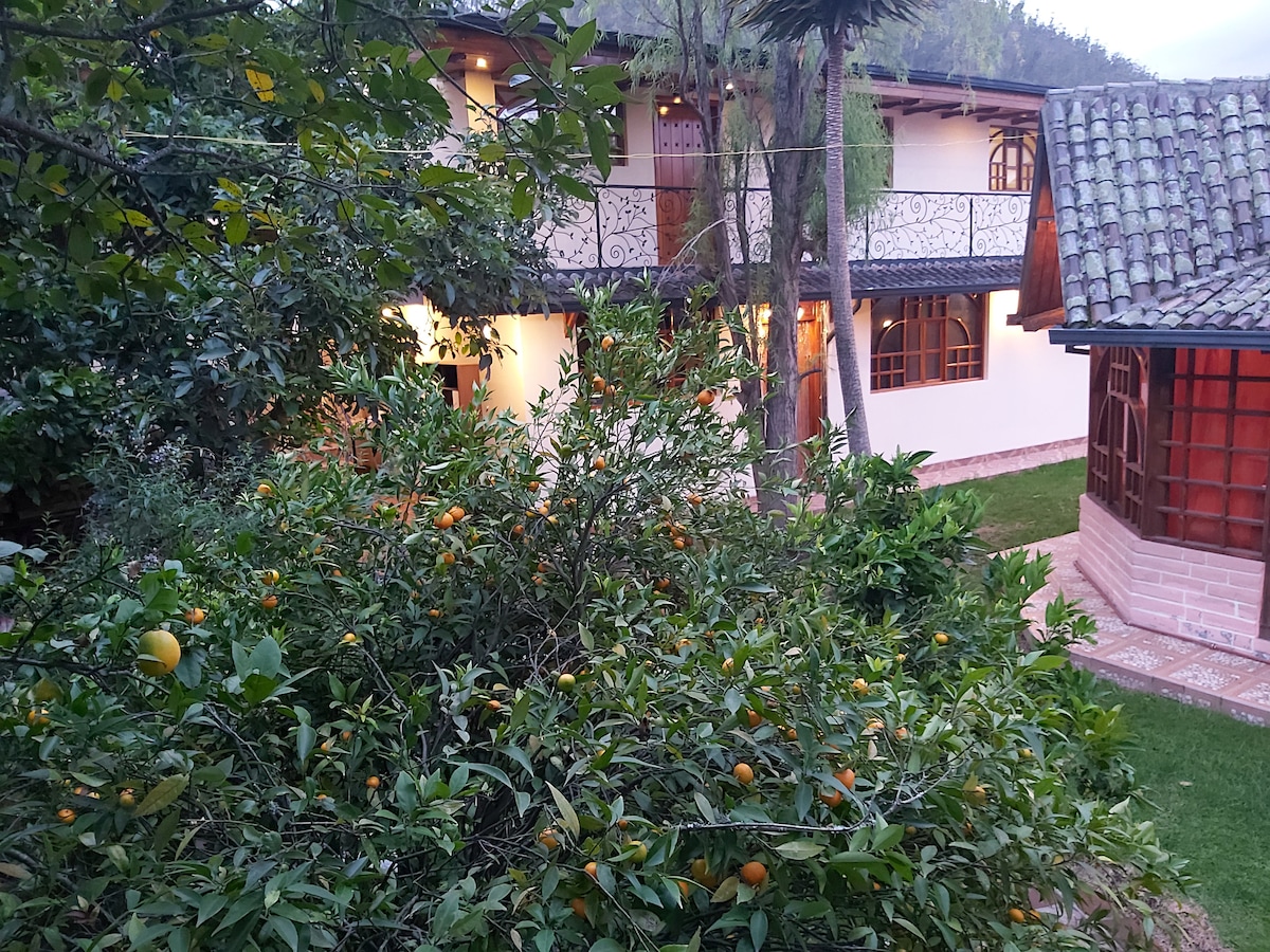 A view of the property features lush greenery and a thriving orange bush in the foreground. The two-story building is visible behind, showcasing a combination of traditional architectural elements with large windows. The surrounding area is well-maintained, enhancing the natural setting.
