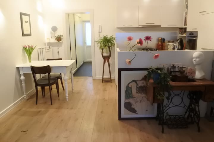 charming appartment near central station