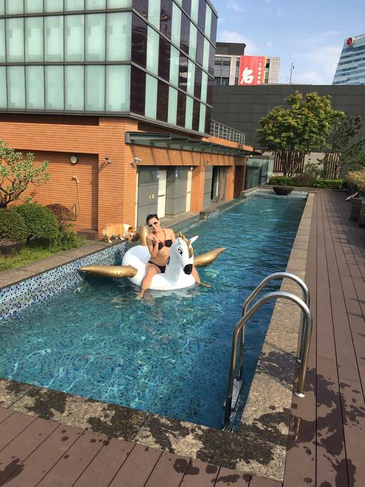 Rooftop swimming pool open to all guest