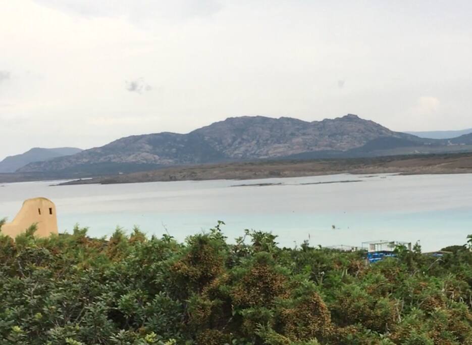la vista mozzafiato dalla casa che dista circa 50 metri dalla spiaggia della Pelosa