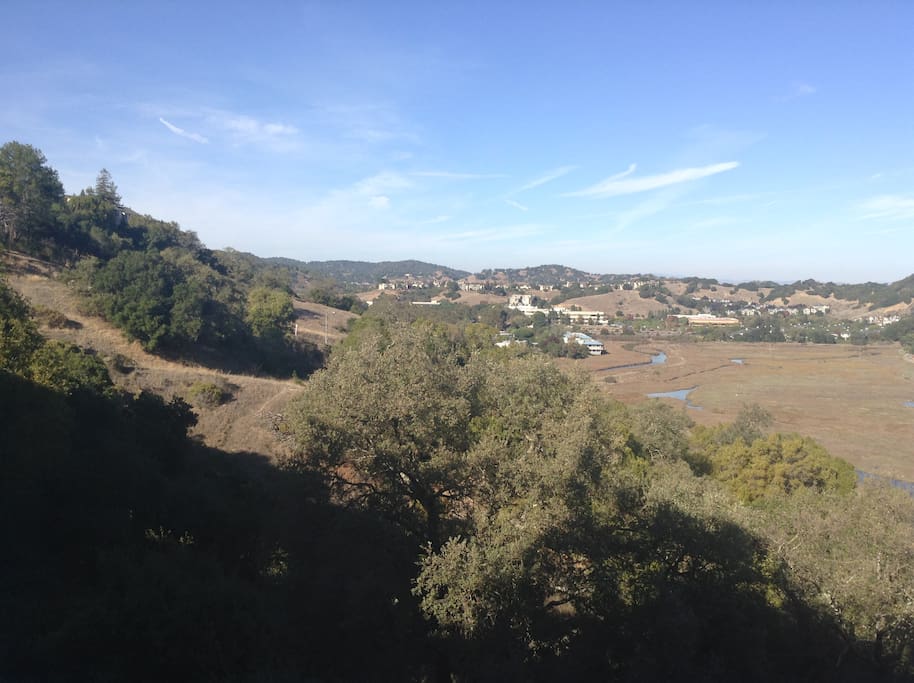 view