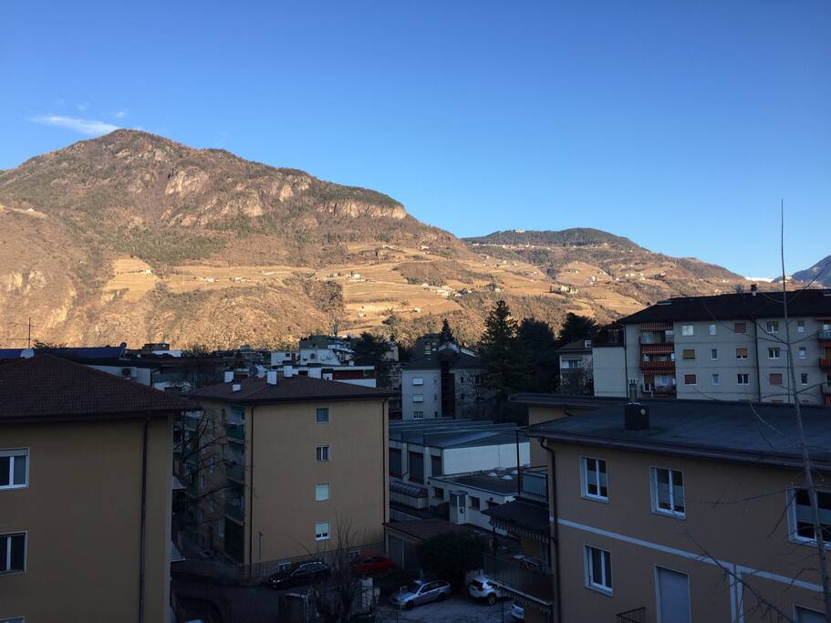 Panorama estivo