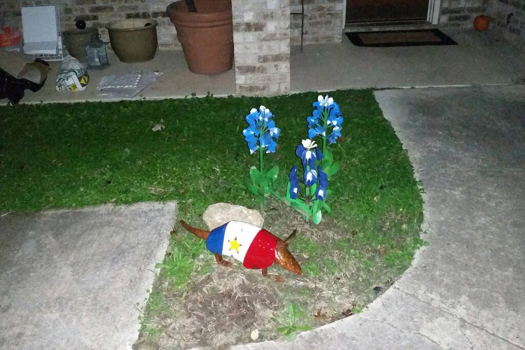 Texas blue bonnets and an armadillo welcome you.