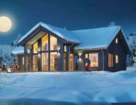 New, delicious cabin for rent