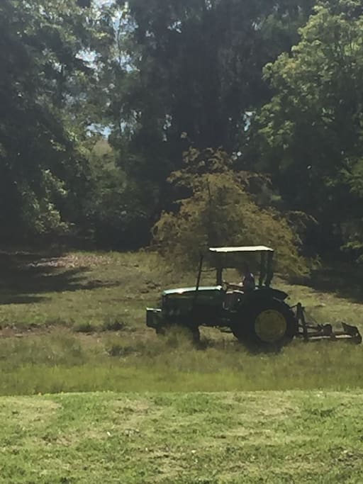 Cutting the font lawn