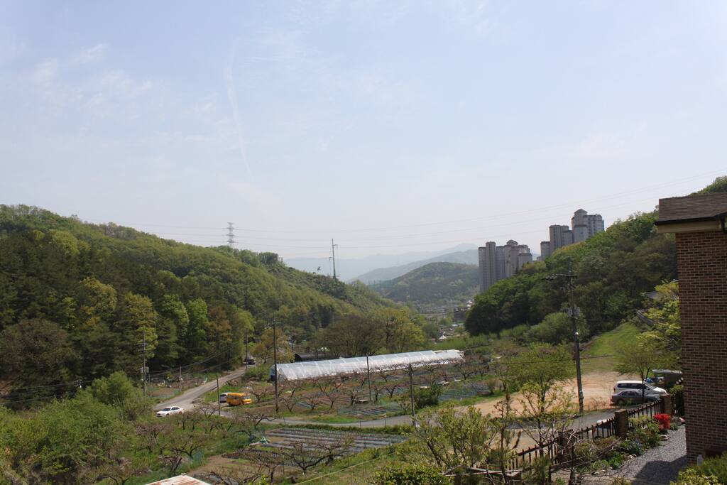 Contryside Scenery