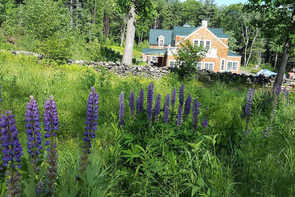 25+ acres of privacy