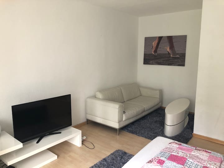 Sofá de cuero con mesa de diseño, TV grande