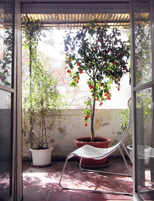 Balcony on inner courtyard with trees