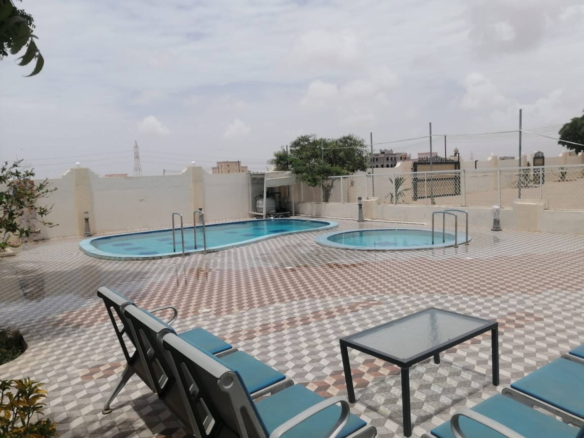 the palm oasis