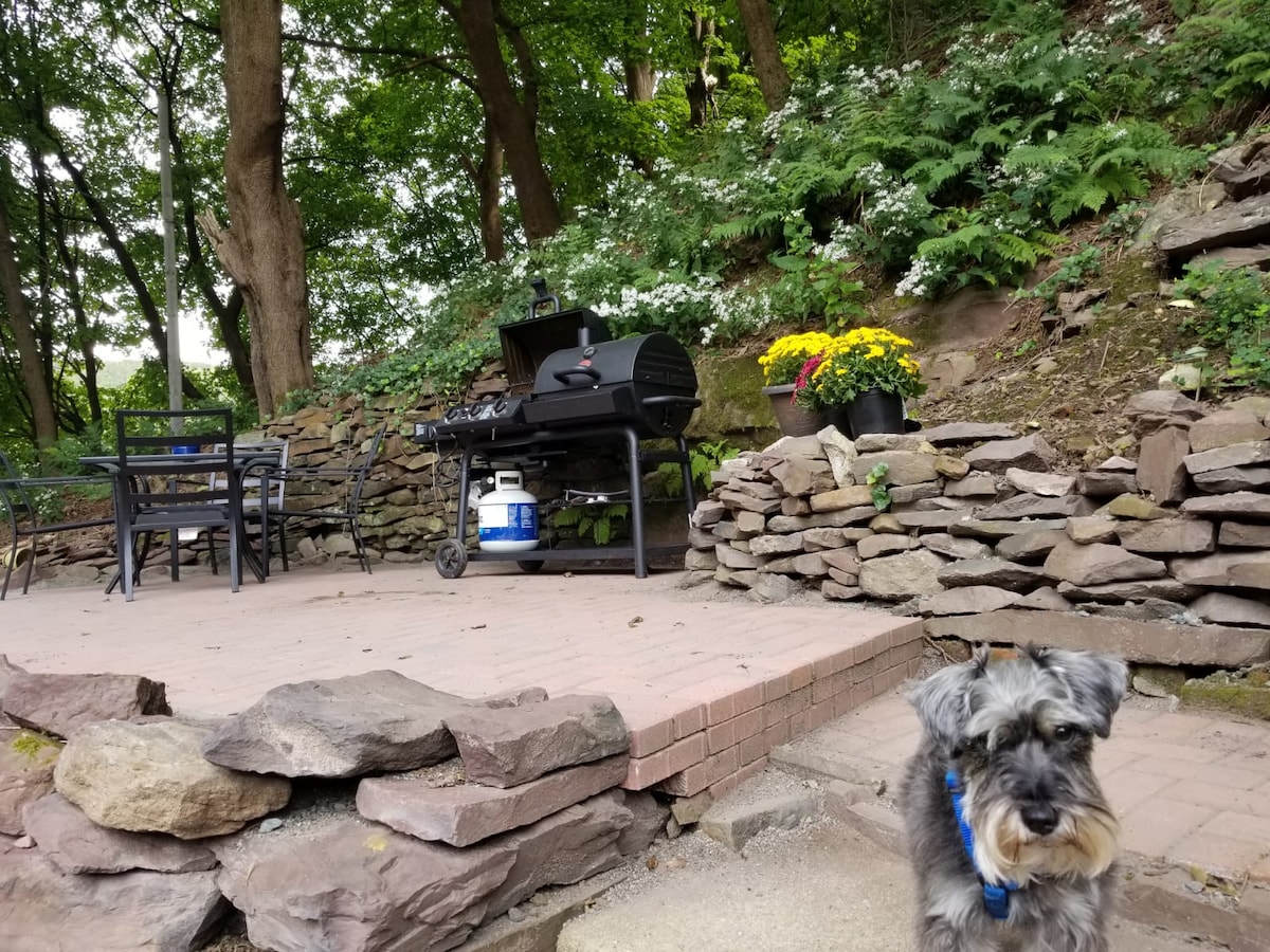 An outdoor area features a paved patio surrounded by natural stone walls and greenery. A gas barbecue is positioned beside a charcoal grill, with vibrant potted flowers adding color. A dog sits on the patio, blending into the tranquil garden setting.