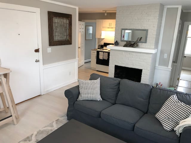 Newly renovated downtown 1 bedroom