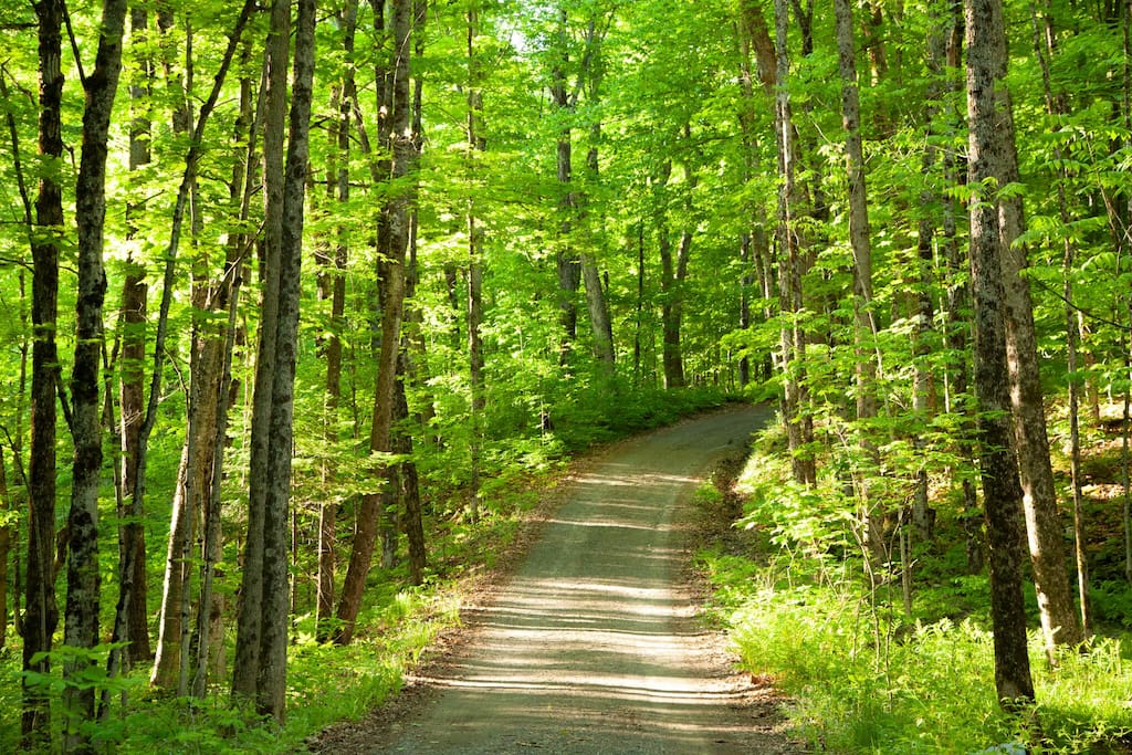 Road to the cottage.