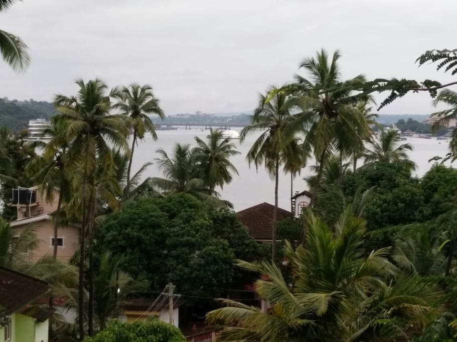Mandovi River View