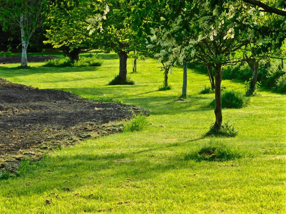 The field