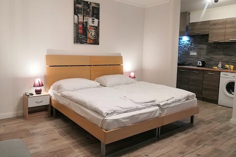 Vehlovice Apartments - Apartmán standard