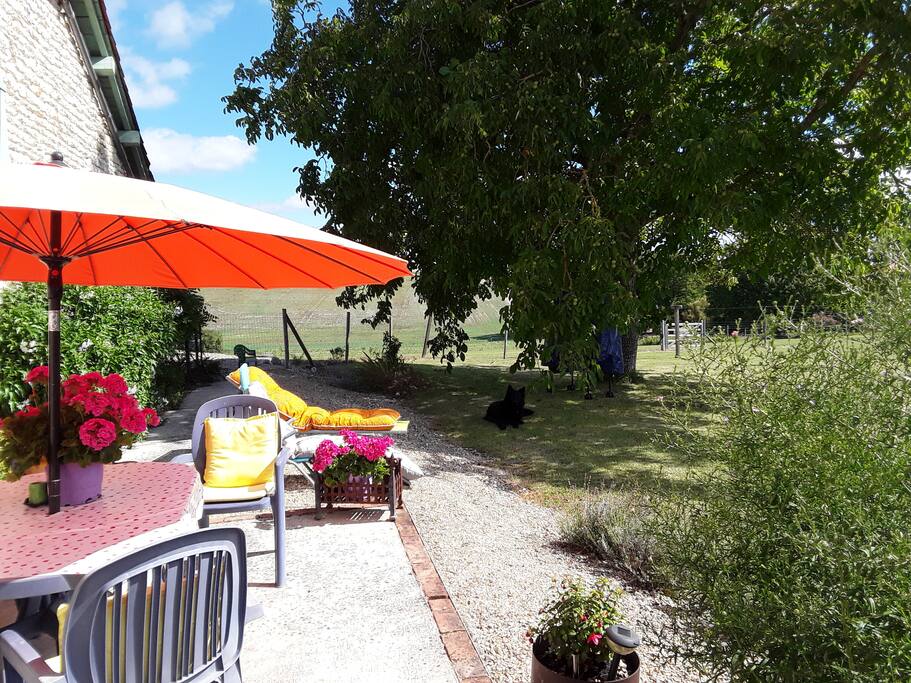 terrace area