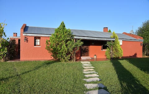 Impressive farmhouse surrounded by olive trees
