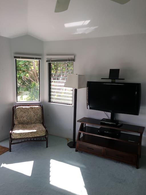 Reading Chair and Flat Screen TV with Cable and DVD