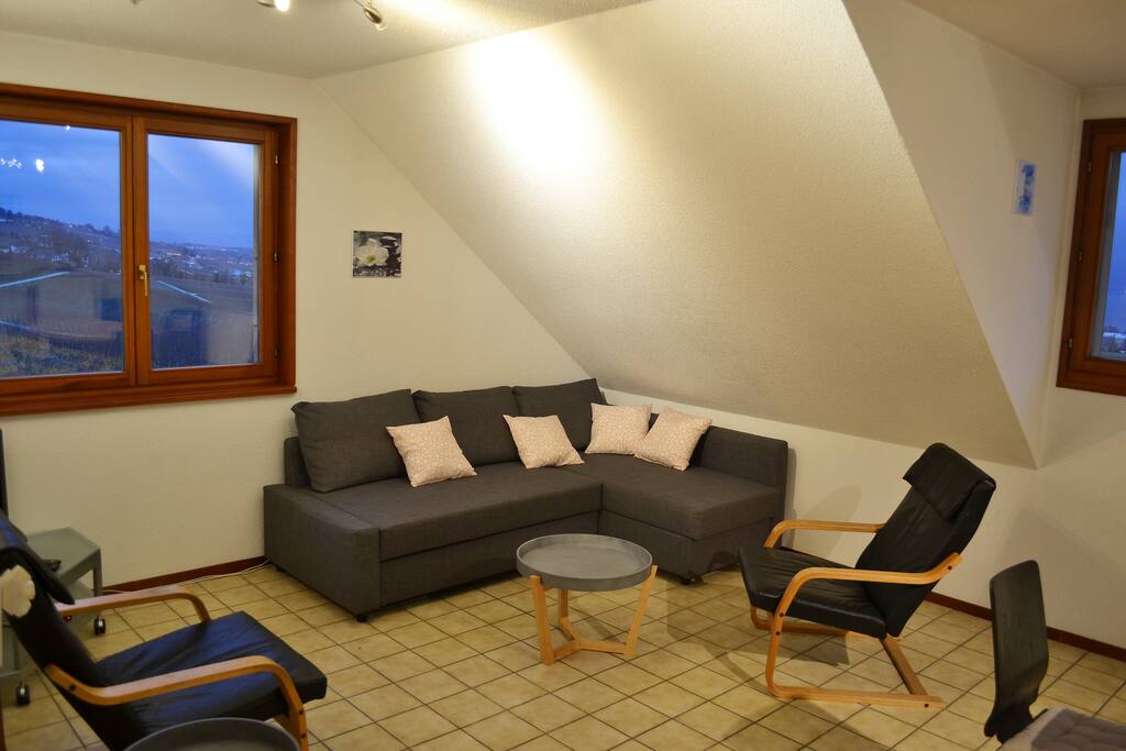 Salon avec vue sur le lac Léman et le Mont-Blanc
