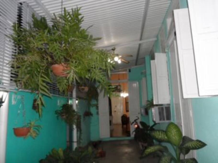 Downstairs Terrace