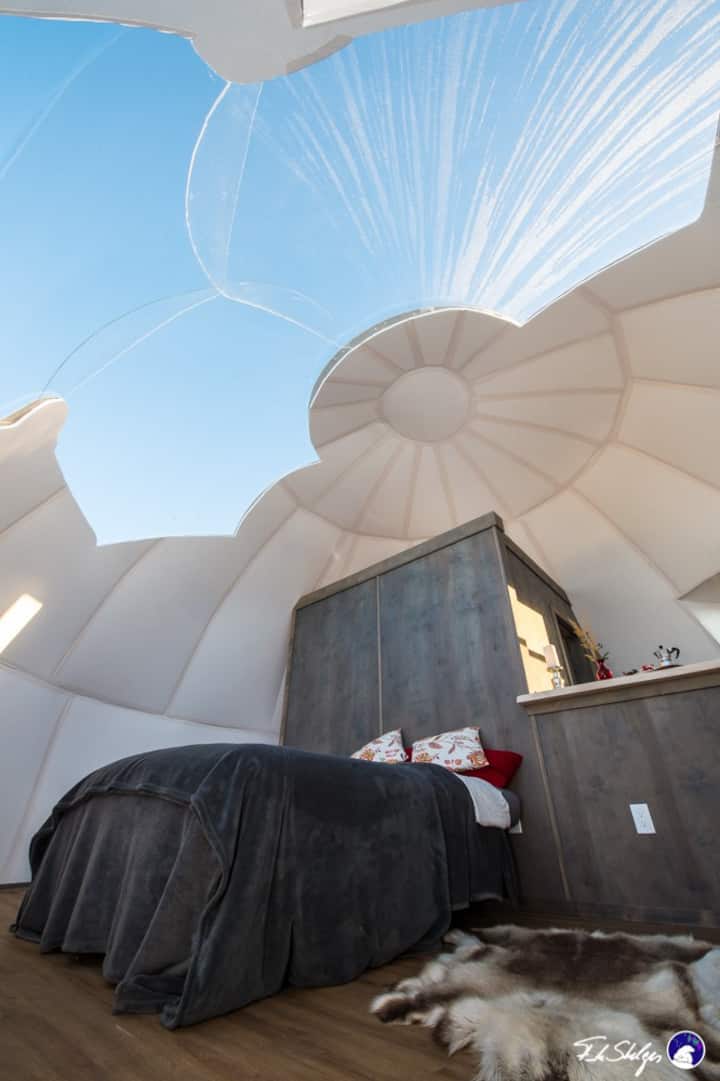 Best Glass Igloo Hotel In Alaska, USA Trip101