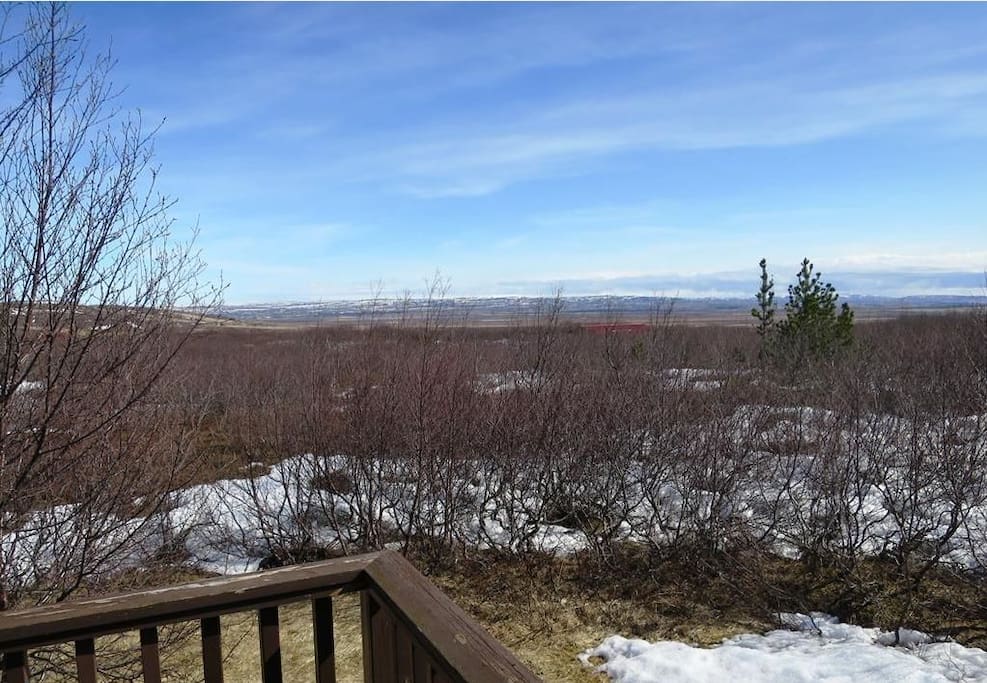 winter view from patio