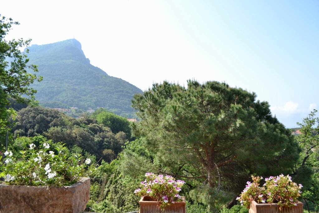 Panorama