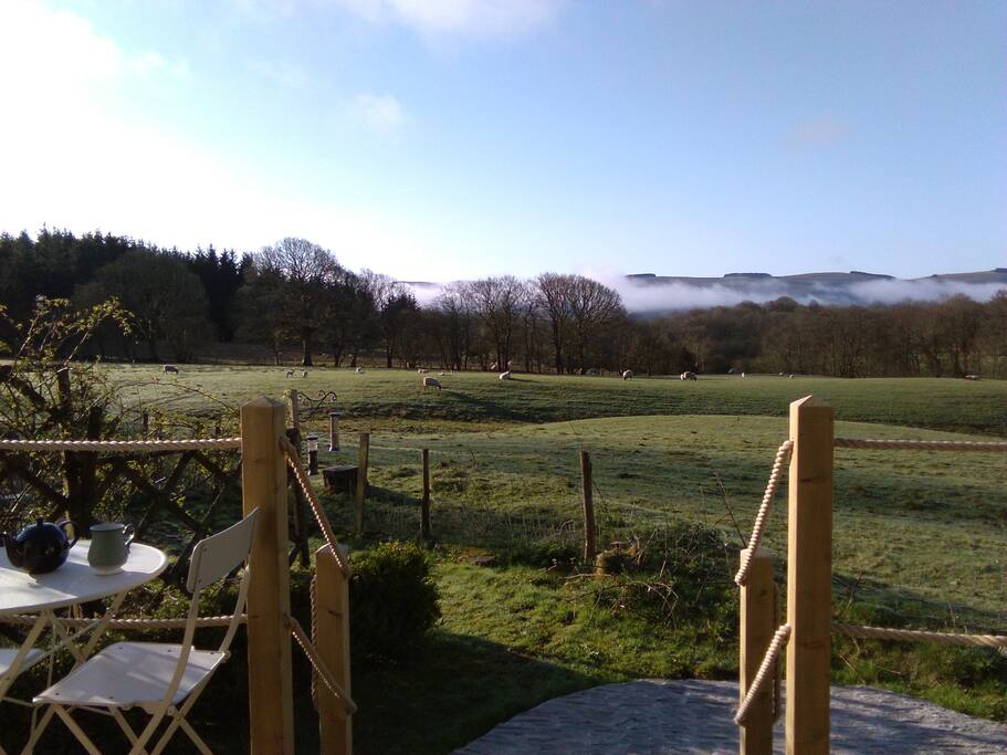 Your early morning view