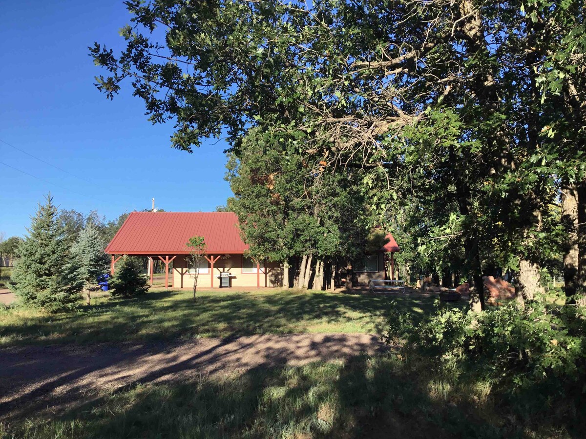 A spacious cabin is nestled among tall trees, featuring a red metal roof. The surrounding lawn is lush and green, with a mix of evergreen and deciduous trees. A gravel driveway leads towards the entrance, offering a welcoming approach.
