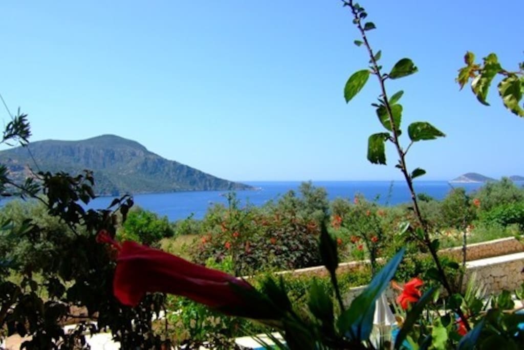 Breakfast view from the large balcony.
West facing with views of the Islands.