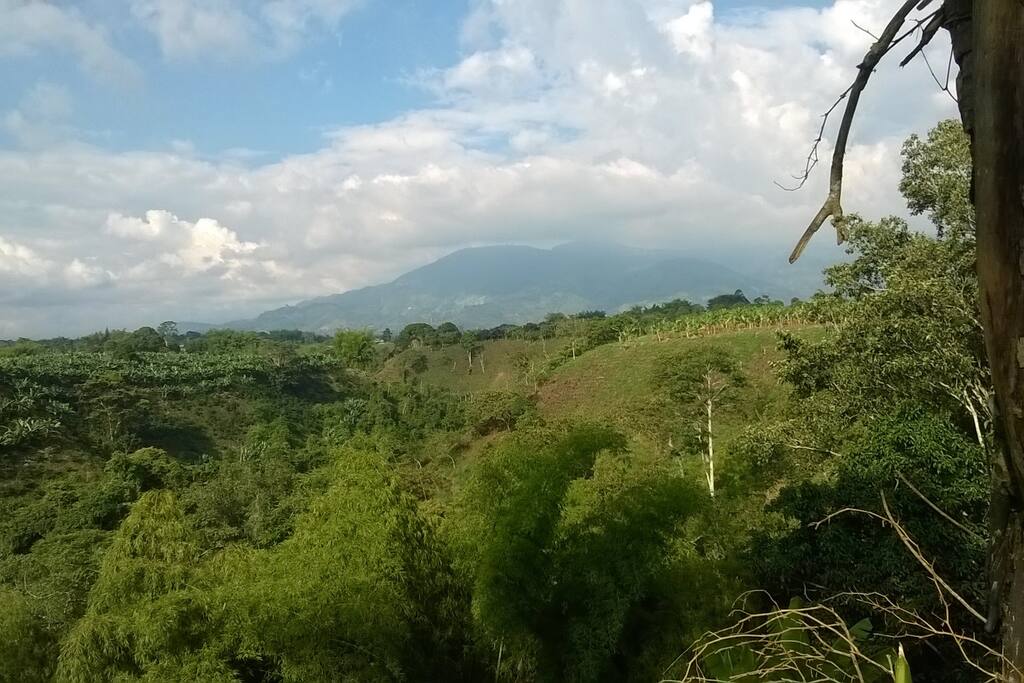 Vista desde la finca
