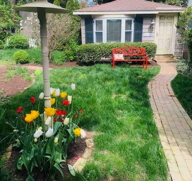 A charming guest cottage is surrounded by a well-kept garden. Colorful tulips in red, yellow, and white bloom near a light post, while a red bench is positioned in front of the cottage. A brick pathway leads toward the welcoming entrance.