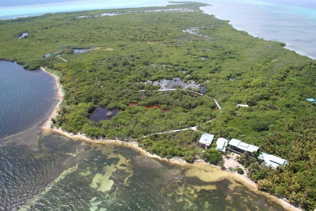 Aerial view of the private island