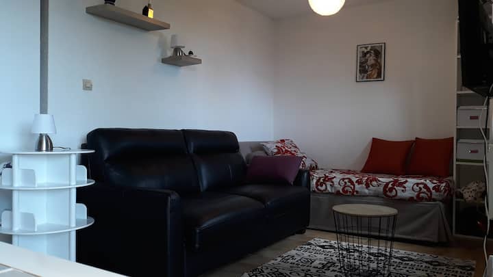 Studio Du Schuss En Surplomb Lac Leman - Thollon-les-Mémises