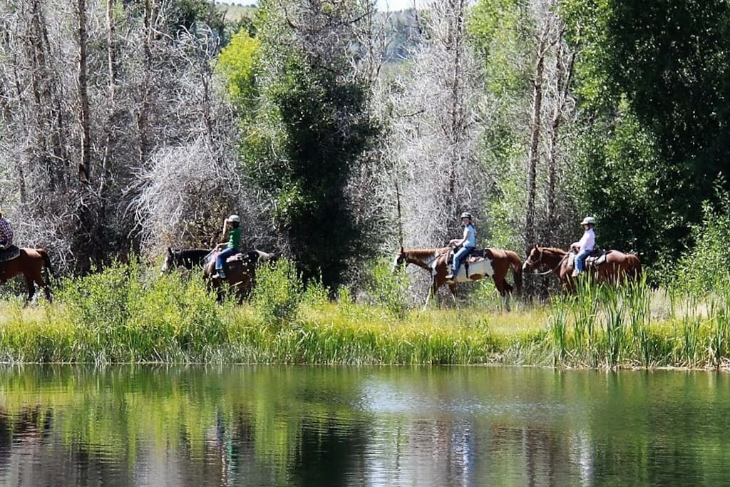 Trail Ride by the pond