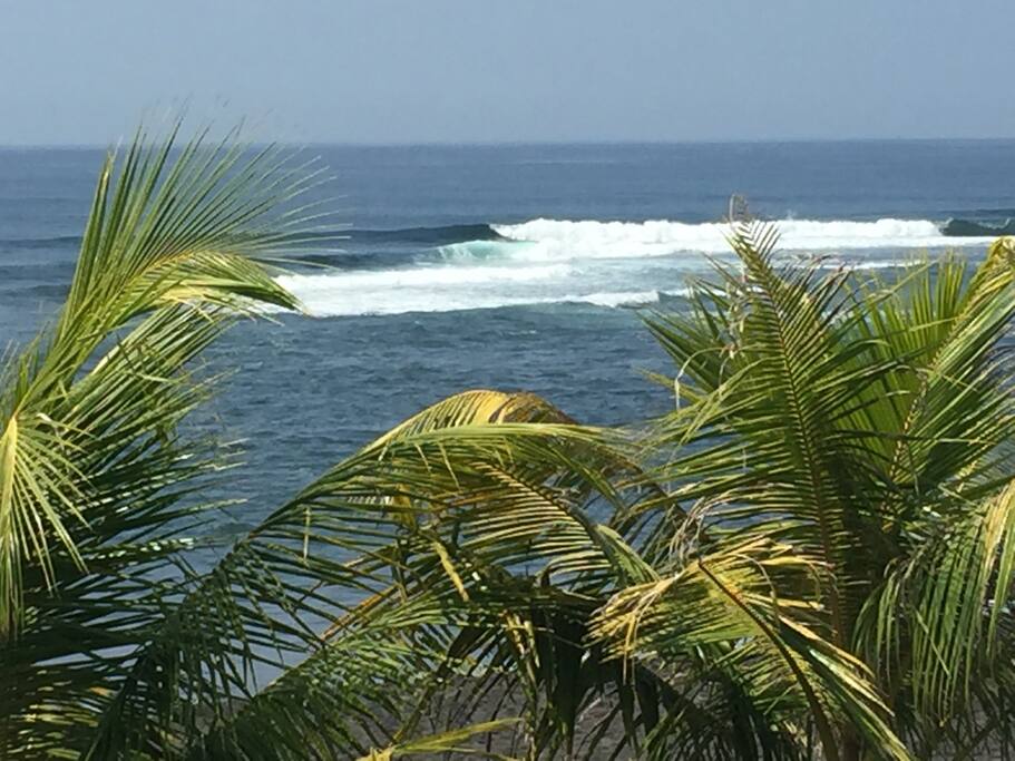 Perfect wave outside the house