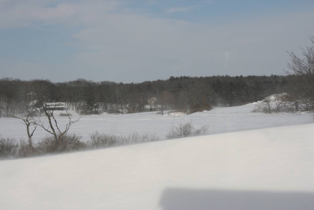 Winter delight with cross country skiing out the back door.