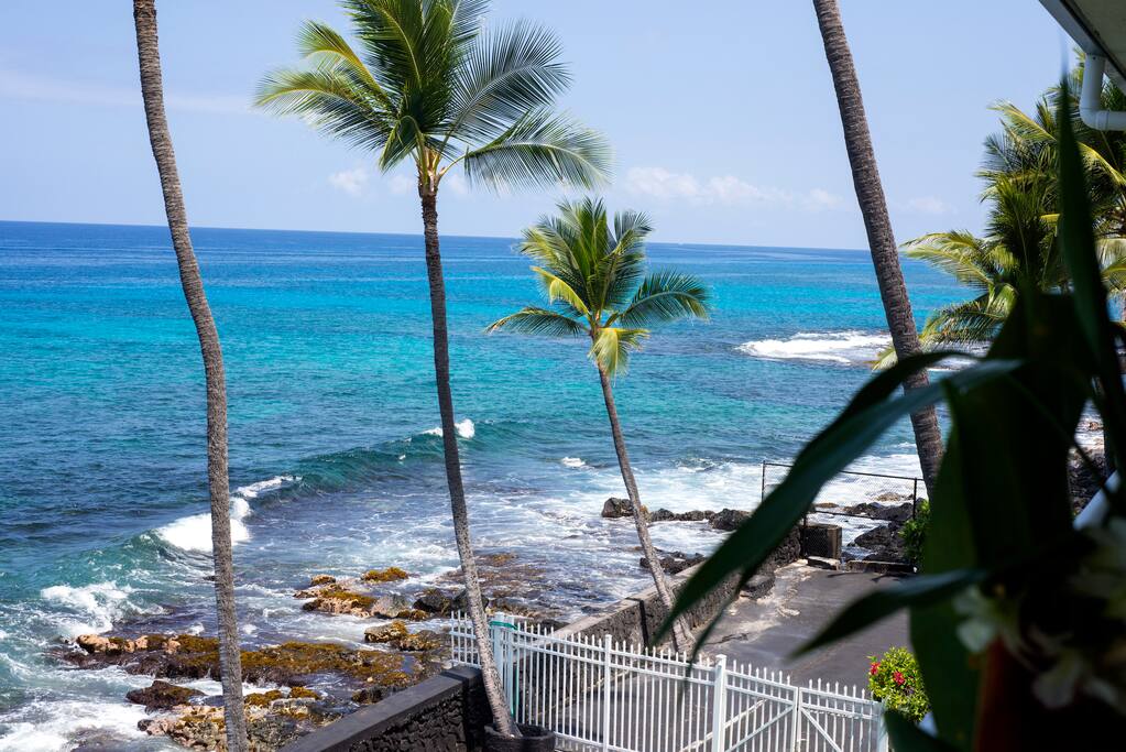View from lanai to the right