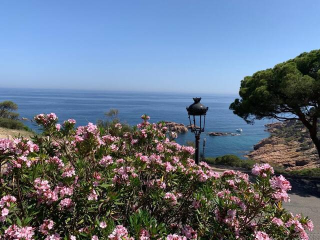 Sea view house with private pool and garden gallery image 5