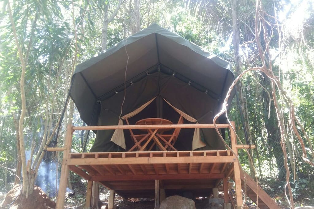 Jungle safari tent