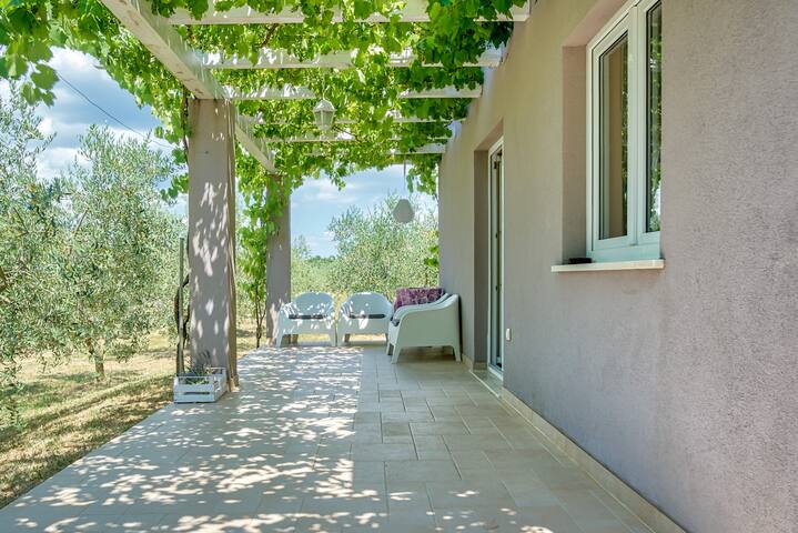 Country house Olivea in Istria