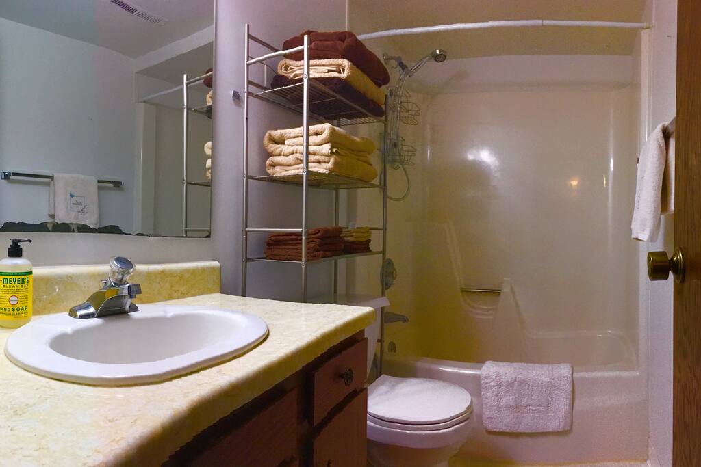 Guest Only Bathroom