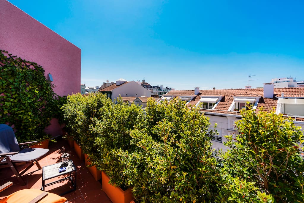 Terrace