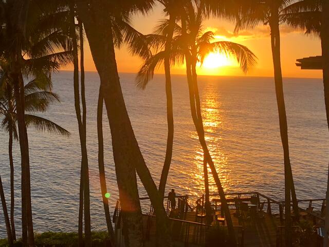 Brand New Fully Renovated Oceanfront Penthouse