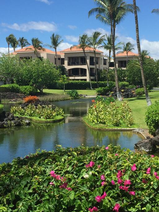 Many tropical lagoons throughout the 11.4 acres.