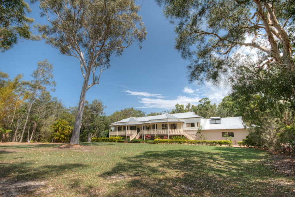 Noosa Gums overlooks an expansive front grassed area and towering eucalypts