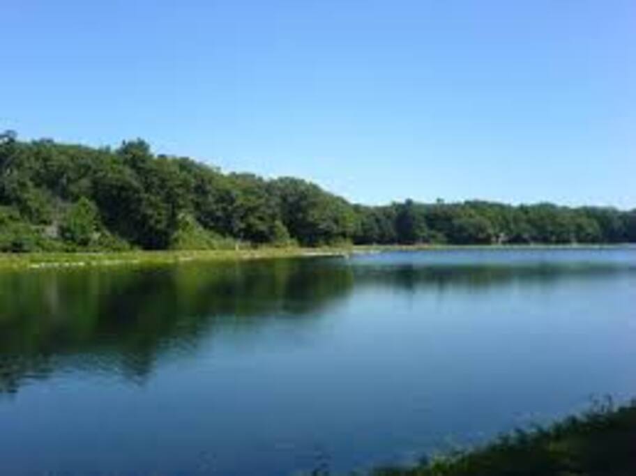 Near Chestnut Hill Reservoir