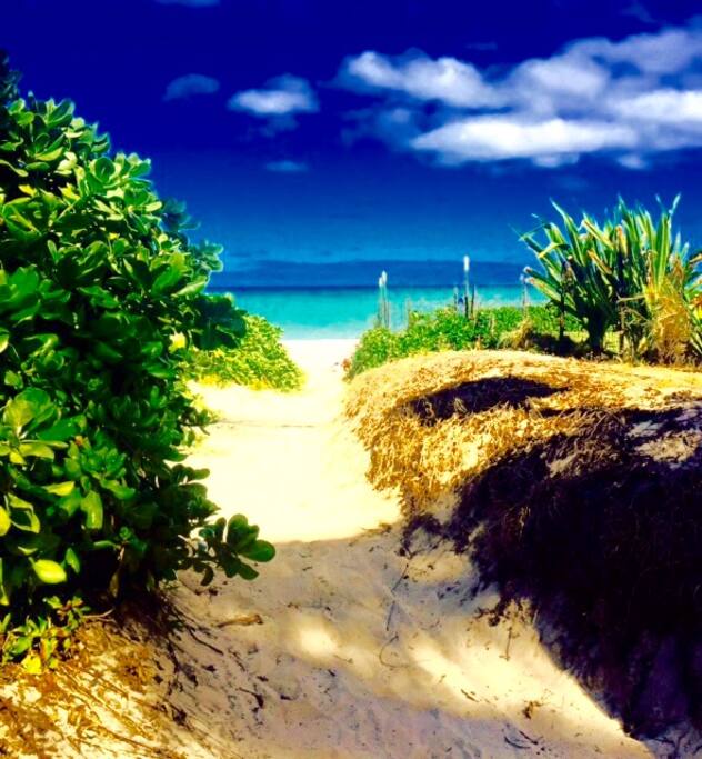 Beach Path just steps from your door