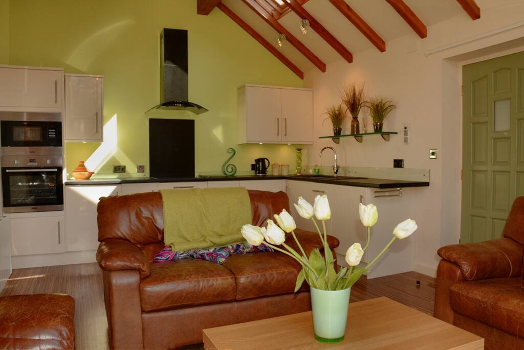 Kitchen with itegrated appliances